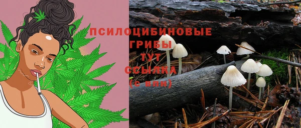 метадон Абдулино