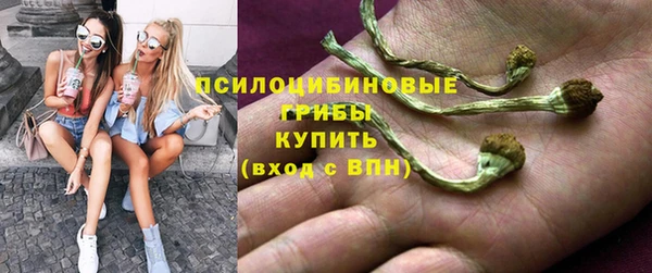 крисы Абинск