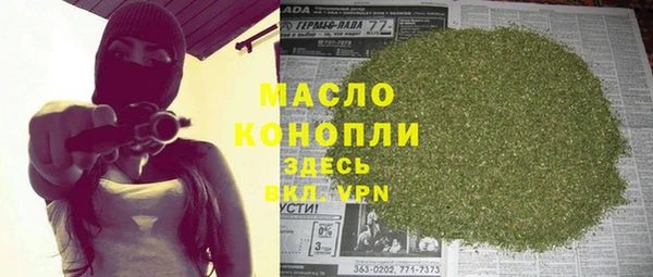 тгк Абаза