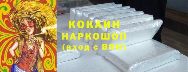 тгк Абаза