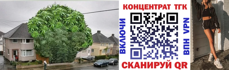 Дистиллят ТГК THC oil  купить   Камышлов 