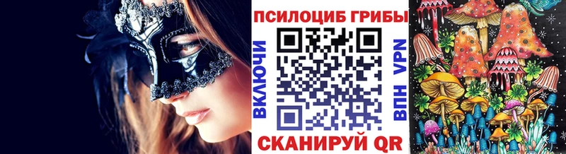 Псилоцибиновые грибы Psilocybine cubensis  где купить   Камышлов 